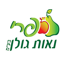 לקוח